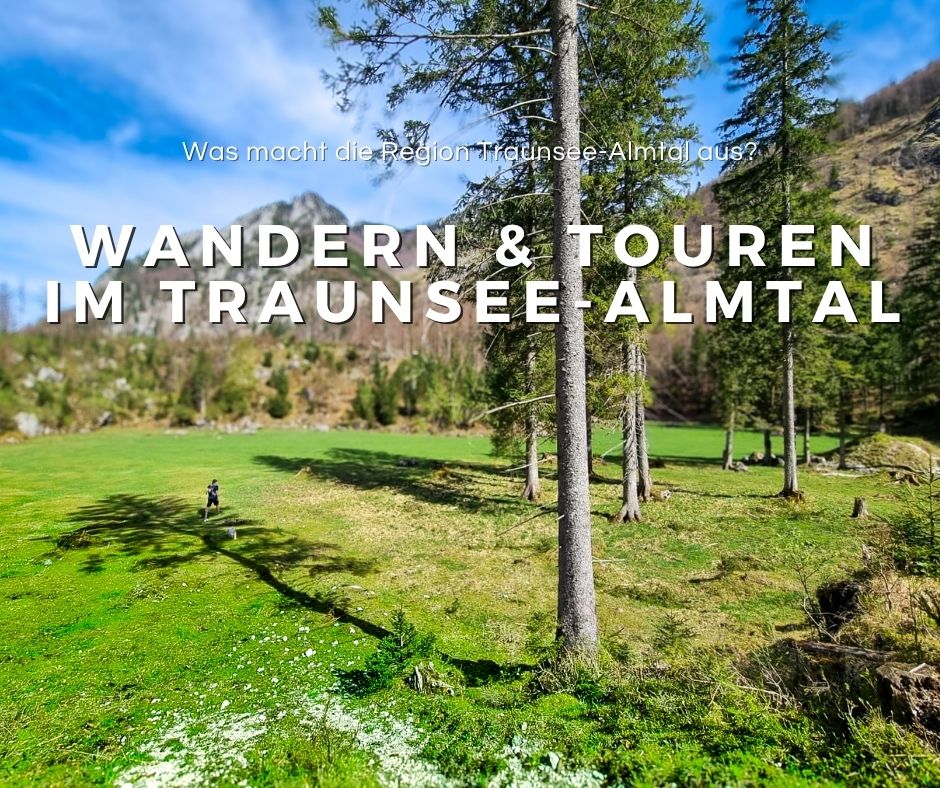 Du betrachtest gerade Traunsee-Almtal mit Hund: Ideal für Bergtouren und Wanderungen