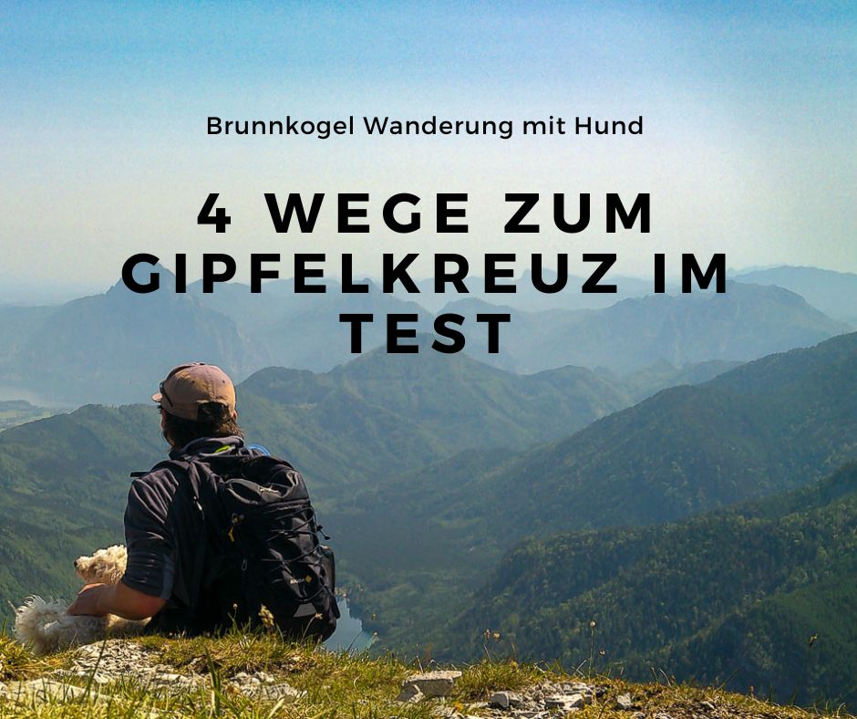 Mehr über den Artikel erfahren Brunnkogel Wanderung mit Hund: 4 Wege zum Gipfelkreuz im Test