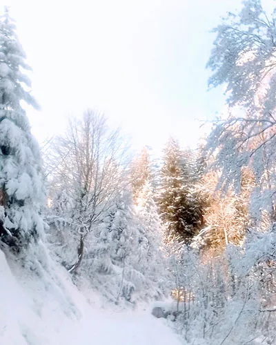 Fuschlsee Wanderung im Winter