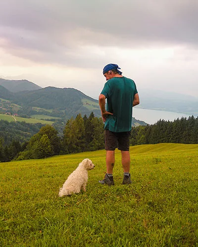 Wandern und Bergtouren mit Hund vom Attersee im Attergau