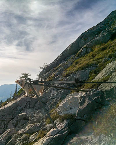 Was versteht man unter Bergtour? Thema im BERG-VAN:MAG
