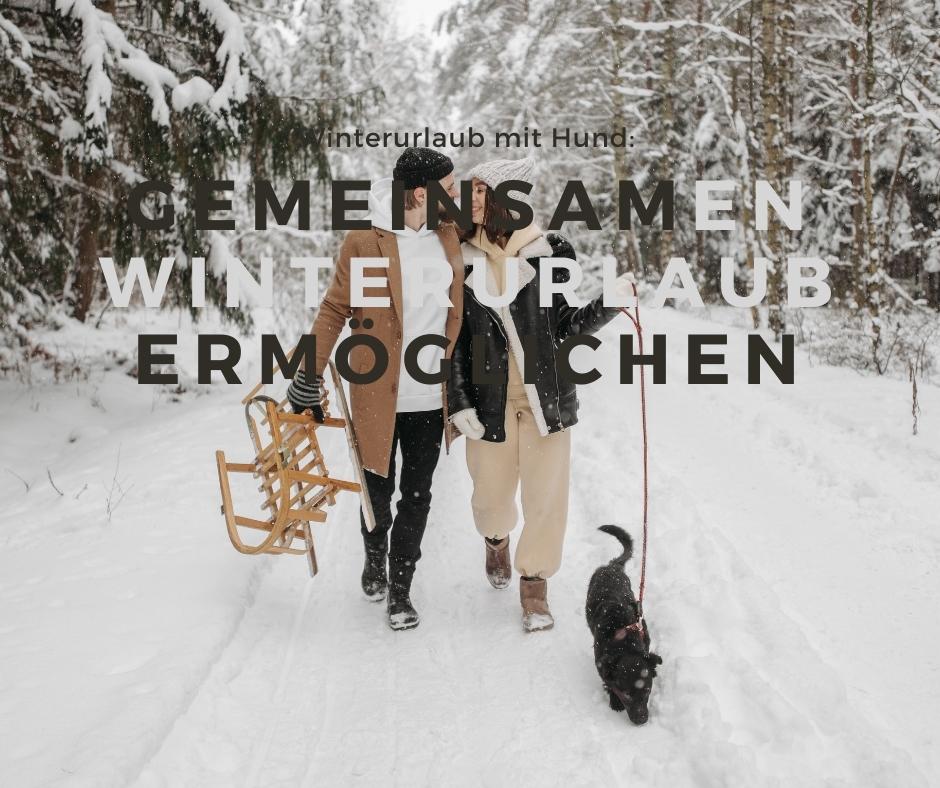 Du betrachtest gerade Winterurlaub mit Hund: wie du deinem Hund den perfekten Winterurlaub ermöglichst