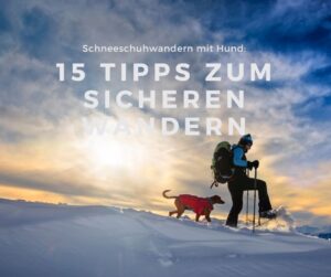 Mehr über den Artikel erfahren 15 Tipps zum SICHEREN Schneeschuhwandern mit Hund PLUS Checkliste